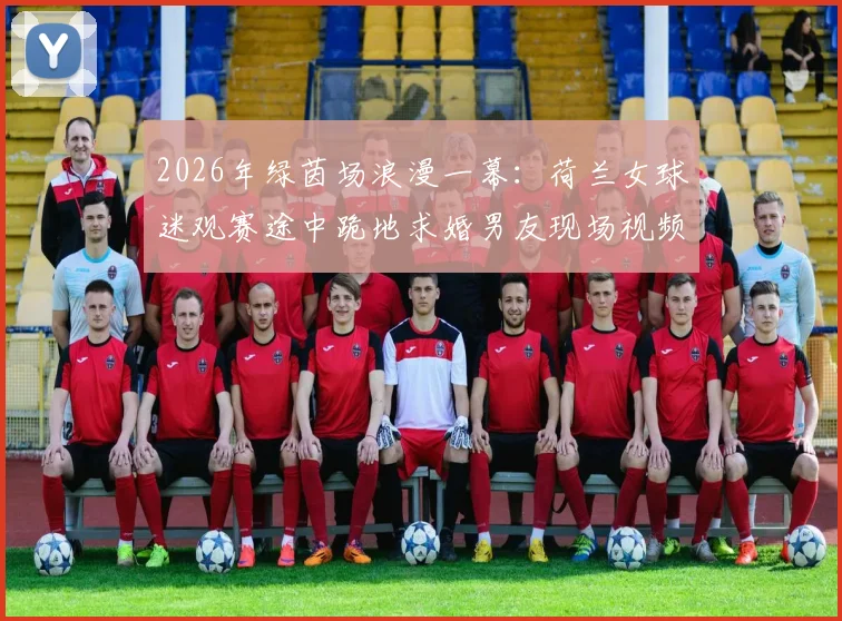 2026年绿茵场浪漫一幕:荷兰女球迷观赛途中跪地求婚男友现场视频与背后故事全回顾