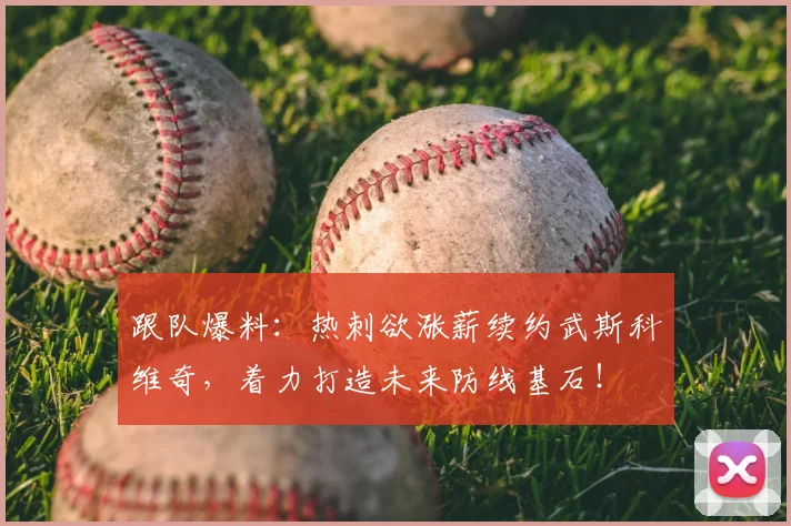 跟队爆料：热刺欲涨薪续约武斯科维奇，着力打造未来防线基石！