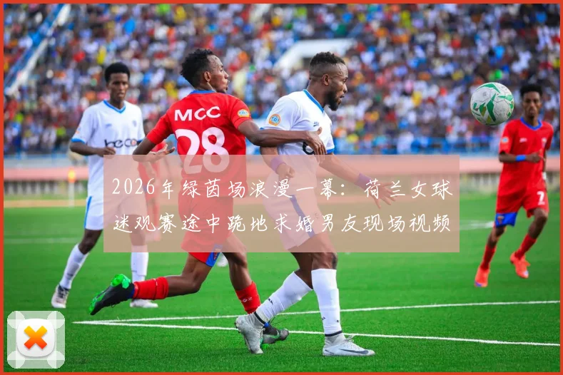 2026年绿茵场浪漫一幕：荷兰女球迷观赛途中跪地求婚男友现场视频与背后故事全回顾