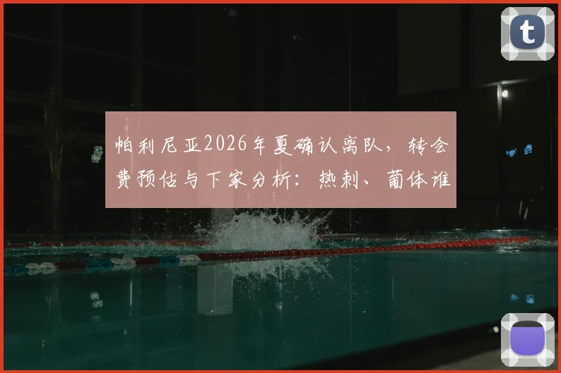 帕利尼亚2026年夏确认离队，转会费预估与下家分析：热刺、葡体谁更适配其特点？附最新动态追踪